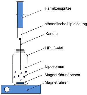 Pharmazeutische technologie bauer