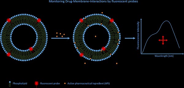 GA_APIMembranes_2013_cut_medium.jpg