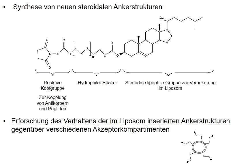 GA_NeueAnker_2013_cut.jpg