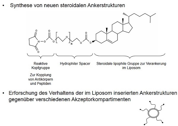 GA_NeueAnker_2013_cut_medium.jpg